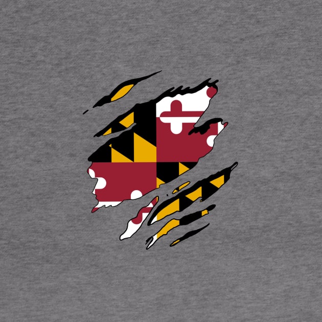 Maryland Flag Rip Away by rk33l4n